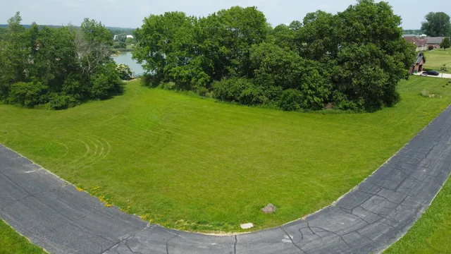a view of a big yard with a large trees