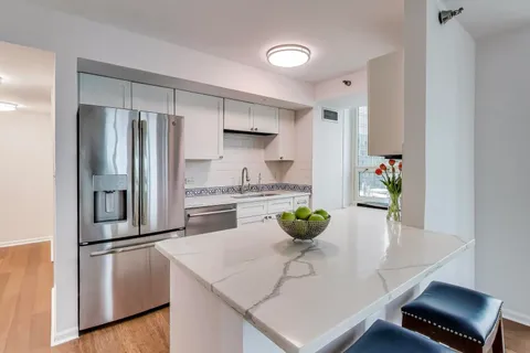 $3,595 | 345 North LaSalle Drive, Unit 2601, Chicago, IL 60654