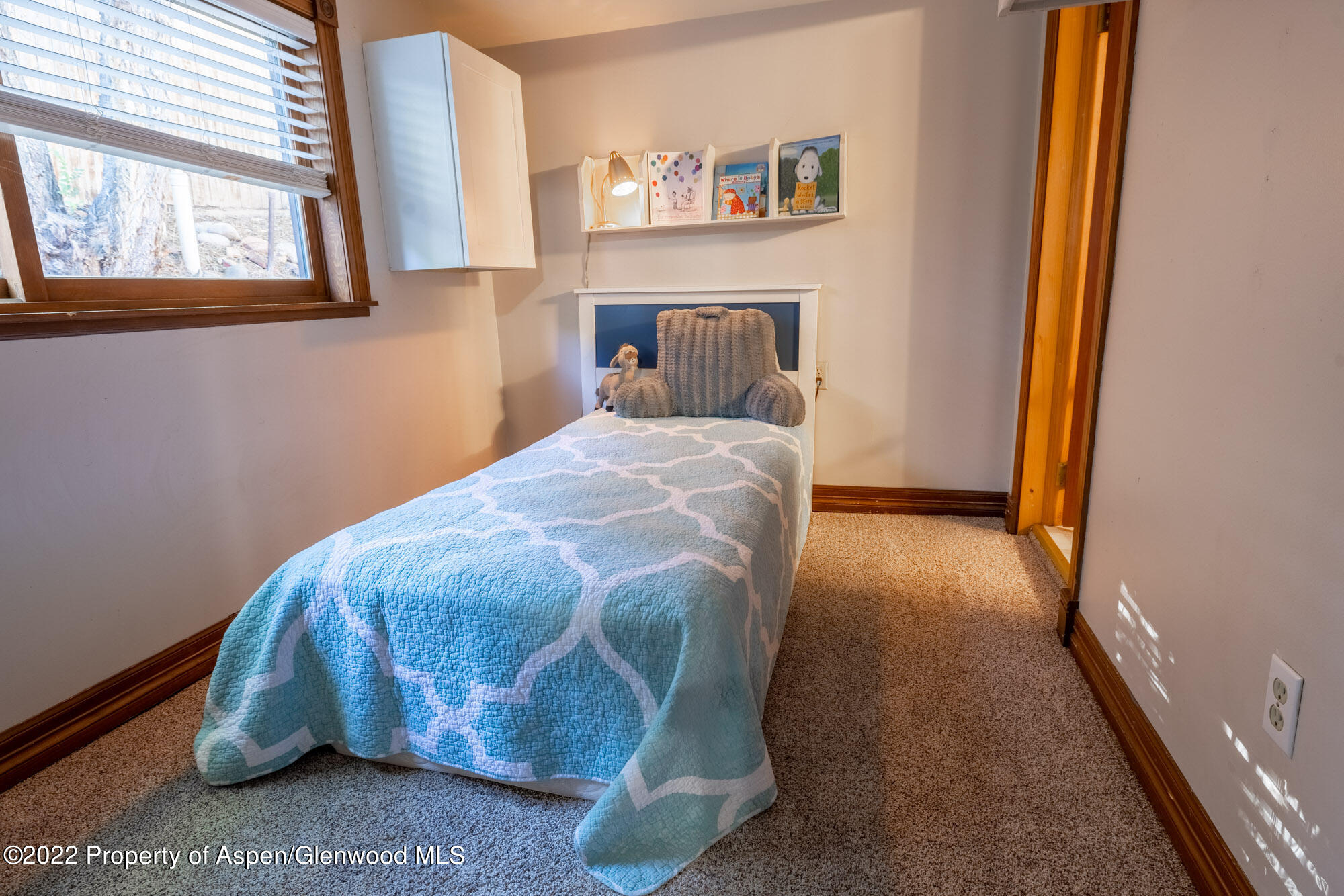313 East 2nd Street Rifle, CO 81650 - Photo 19 of 30 DD8A9585-HDR