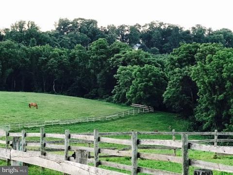 459 Orchard Road Delta, PA 17314 - Photo 29 of 93 Gallery Image 29
