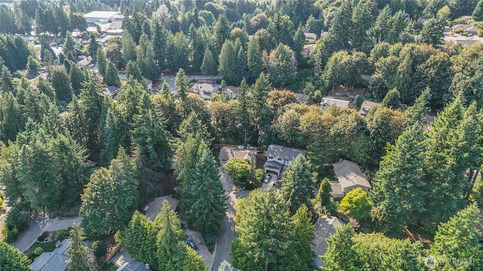 10621 Northeast 147th Street Bothell, WA 98011 - Photo 36 of 36 an aerial view of residential house with outdoor space and trees all around