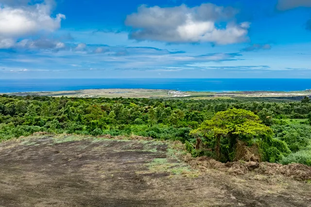 a view of a yard with an ocean