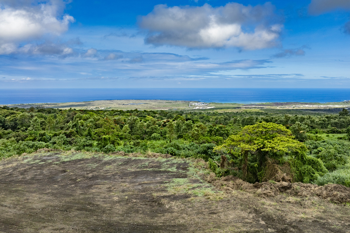 a view of a yard with an ocean