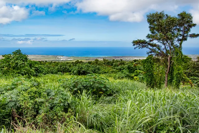 a view of a yard with an outdoor space