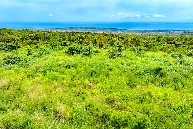 a view of lake and mountain