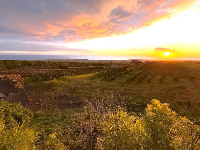 $2,295,000 | 74-4687 Lot 3-a Halolani Street, Kailua-Kona, HI 96740