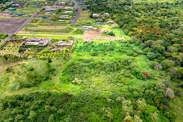 a view of a large yard