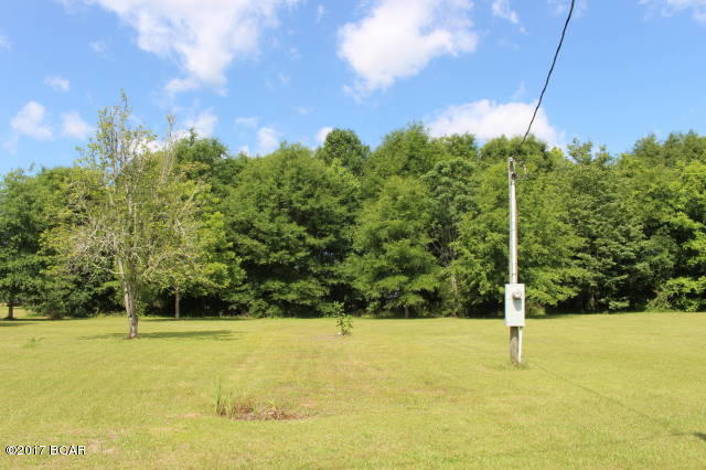 26443 Northeast Bill Baggett Road Altha, FL 32421 - Photo 62 of 75 Gallery Image 62