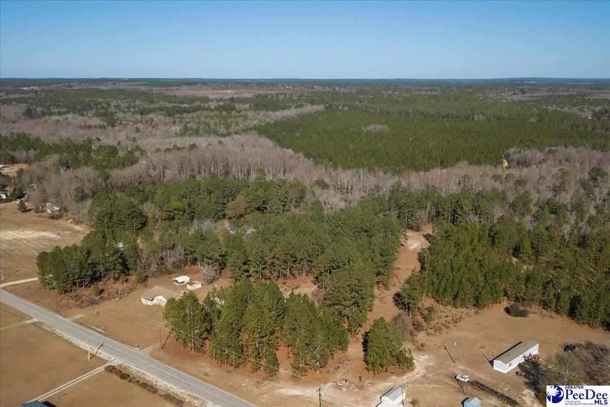 3933 North Center Road Hartsville, SC 29550 - Photo 43 of 49 Gallery Image 43