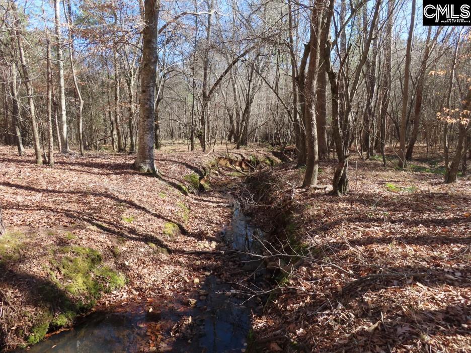 637 Cook Road Ridgeway, SC 29130 - Photo 20 of 51
