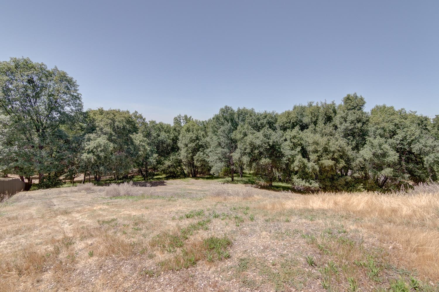 3390 Morel Way Placerville, CA 95667 - Photo 13 of 22 a view of a yard