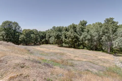 a view of empty field with trees in background