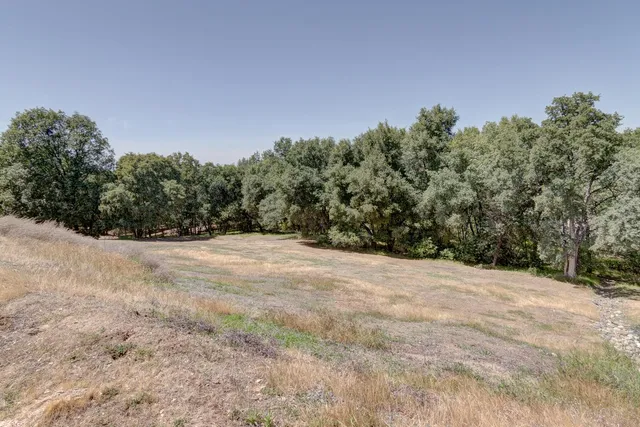 a view of empty field with trees in background
