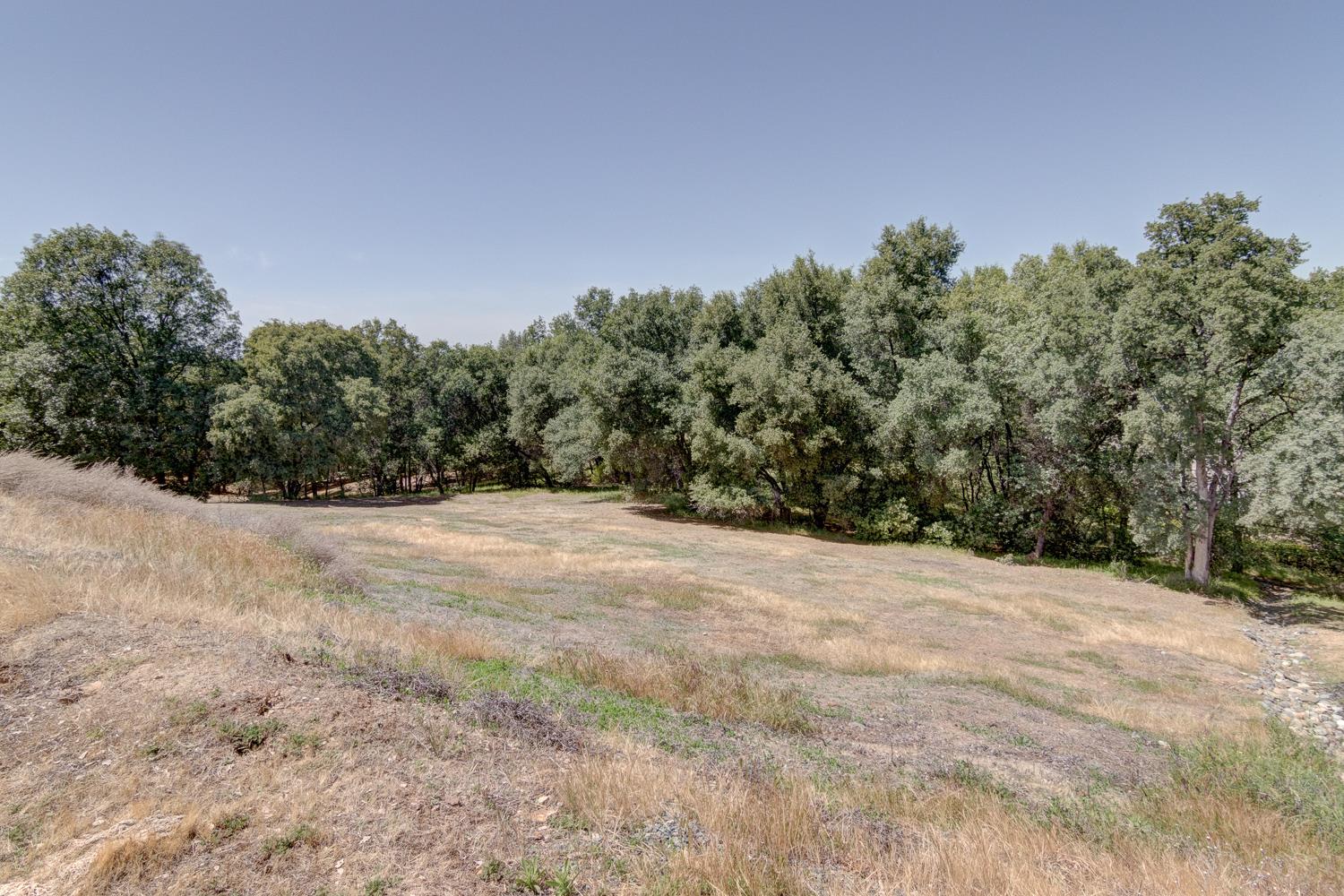3390 Morel Way Placerville, CA 95667 - Photo 14 of 22 a view of empty field with trees in background