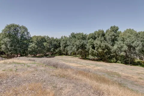 a view of outdoor space and trees