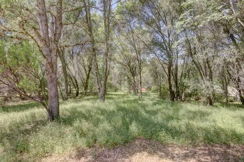 a big yard with lots of green space and bushes