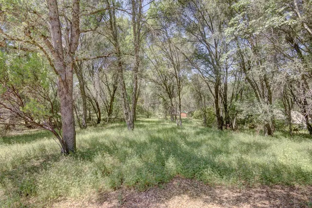 a big yard with lots of green space and bushes