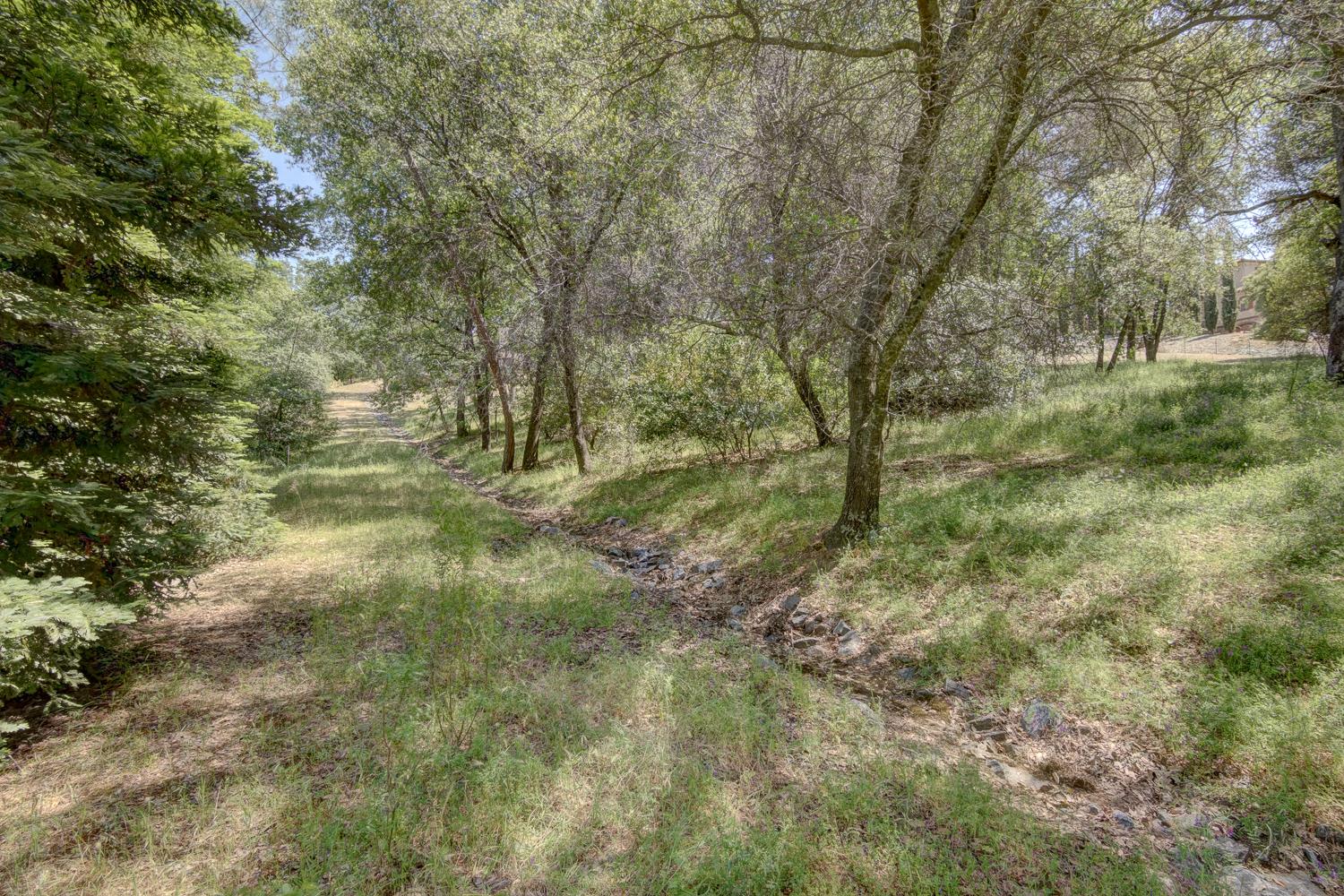 3390 Morel Way Placerville, CA 95667 - Photo 17 of 22 a big yard with lots of green space and bushes