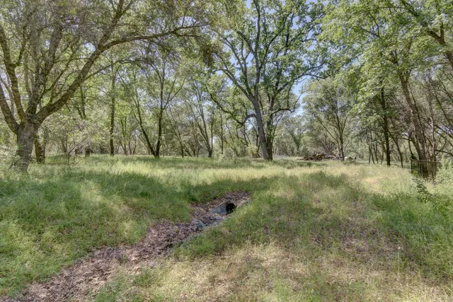 a view of lake with green space