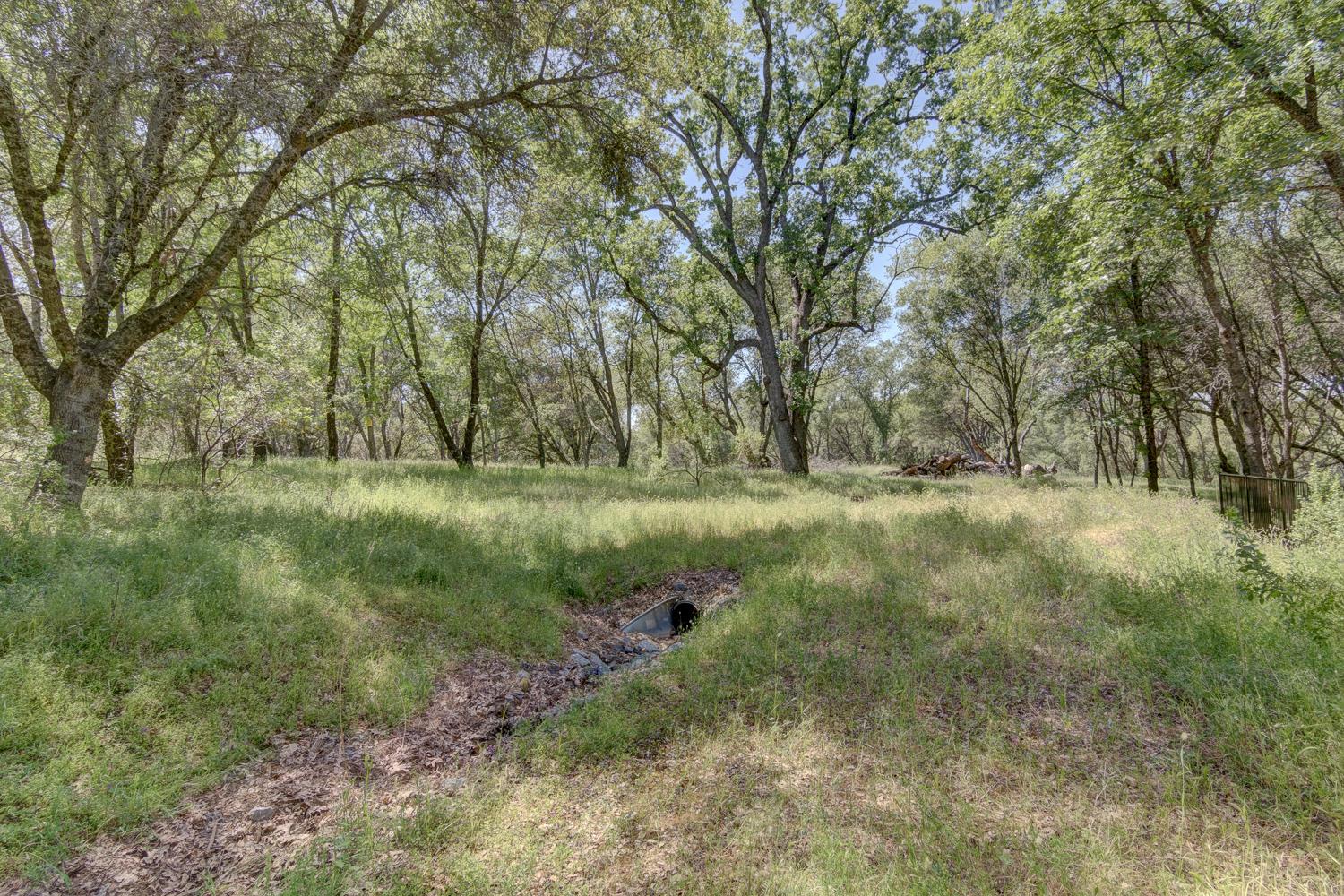 3390 Morel Way Placerville, CA 95667 - Photo 18 of 22 a view of outdoor space and yard