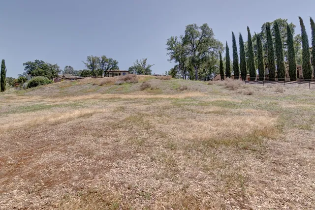 a view of dirt field with trees in background