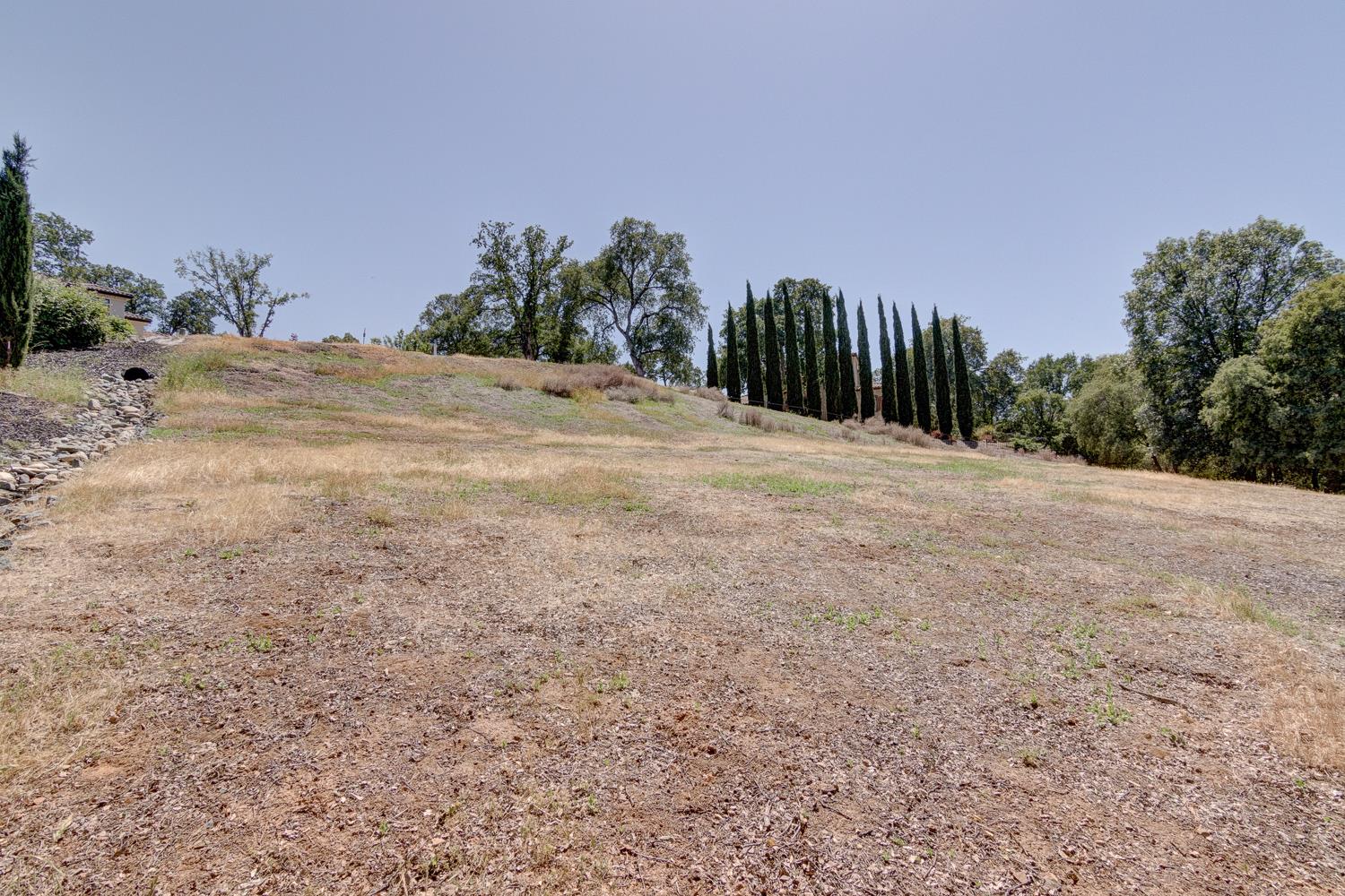 3390 Morel Way Placerville, CA 95667 - Photo 21 of 22 a view of dirt field with trees in background