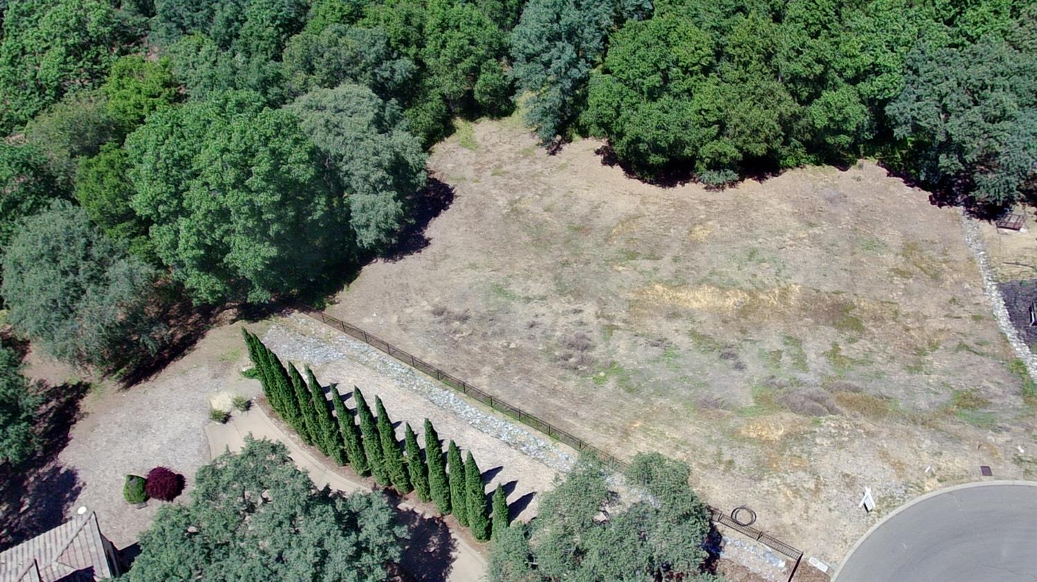 3390 Morel Way Placerville, CA 95667 - Photo 9 of 22 a view of a yard with plants