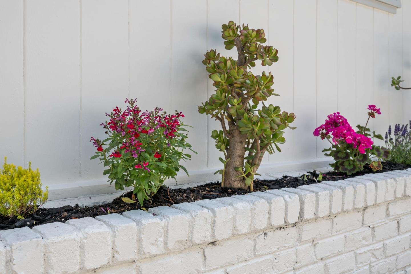 1407 Carlton Road Hillsborough, CA 94010 - Photo 20 of 113