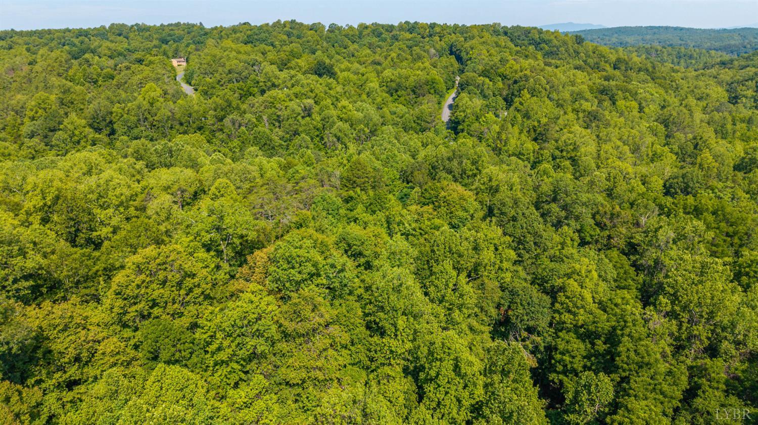 0 Mt Athos Road Lynchburg, VA 24504 - Photo 26 of 42
