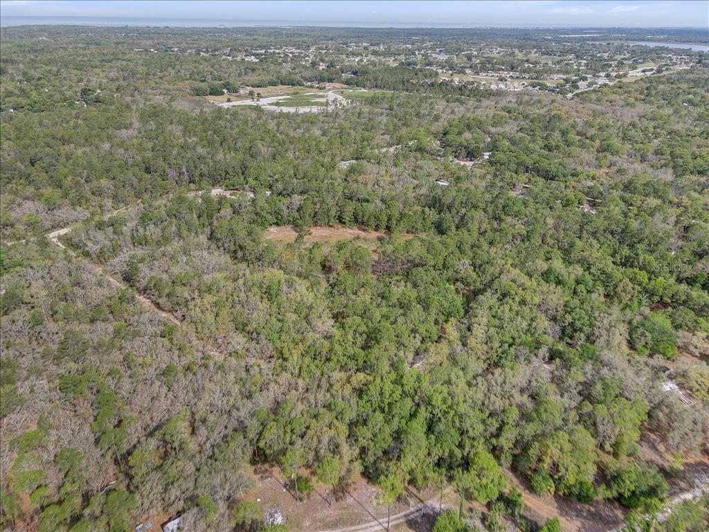 17528 Coyote Road Hudson, FL 34667 - Photo 54 of 60