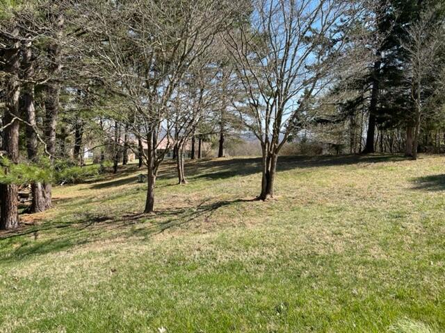 Tbd Welch Road, Unit 4 Kingsport, TN 37660 - Photo 1 of 6 IMG_0738