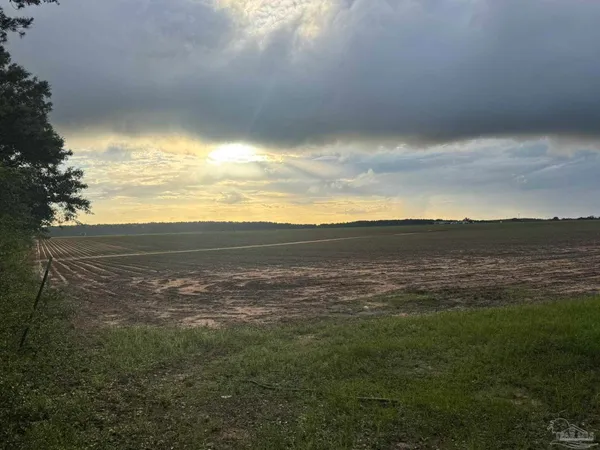 $220,000 | 1 Old Stage Road, Repton, AL 36475
