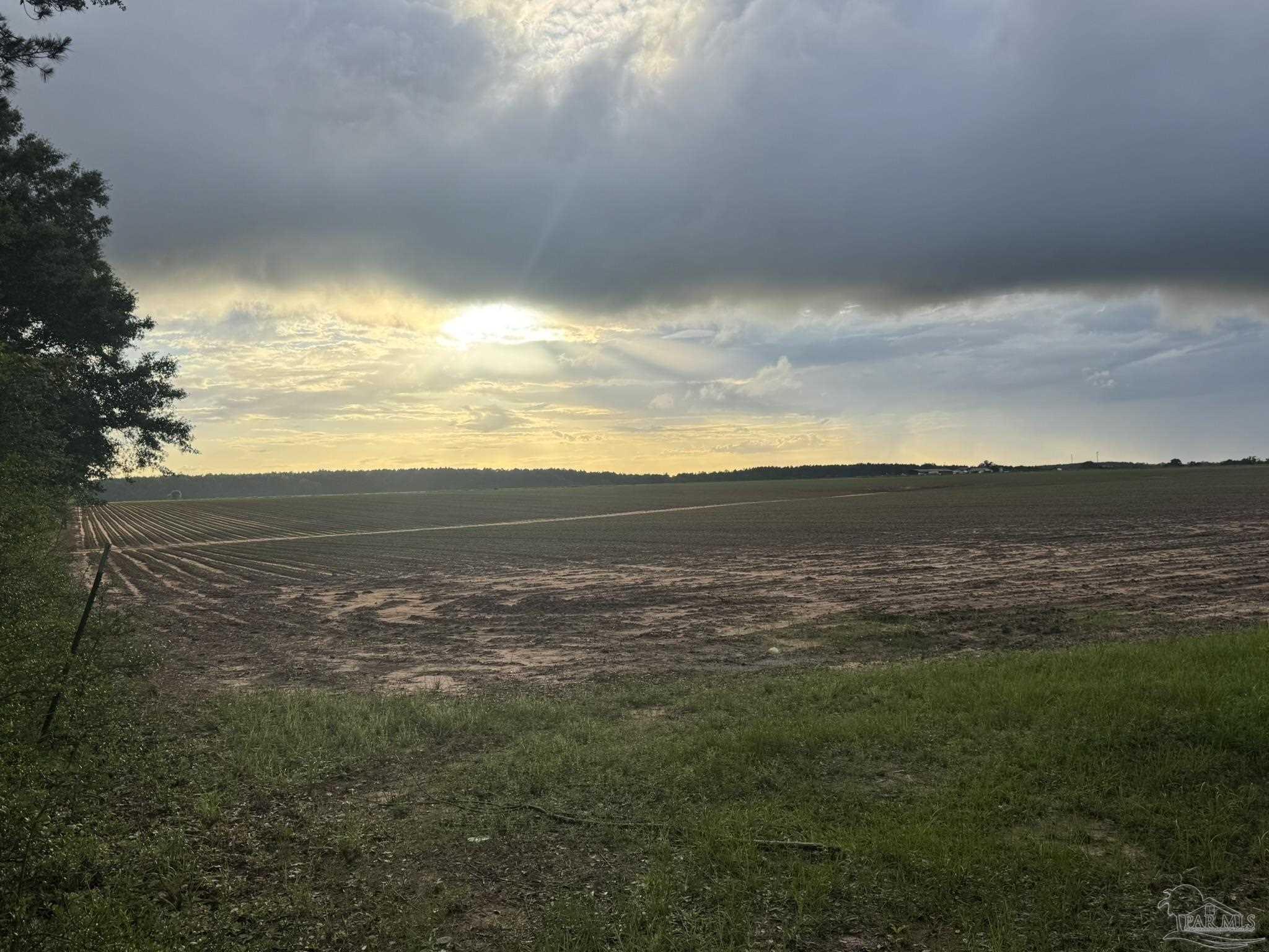 0 Old Stage Road Repton, AL 36475 - Photo 8 of 27