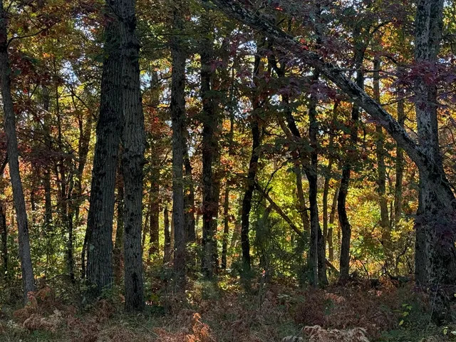 $169,000 | 0 East 28th Street, White Cloud, MI 49349