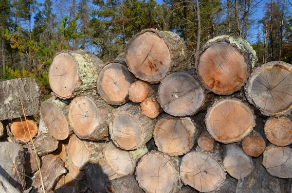 $149,000 | 0 East 28th Street, White Cloud, MI 49349