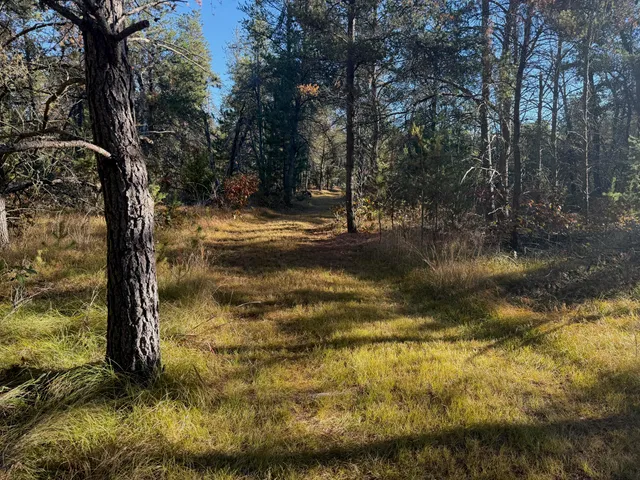 $169,000 | 0 East 28th Street, White Cloud, MI 49349