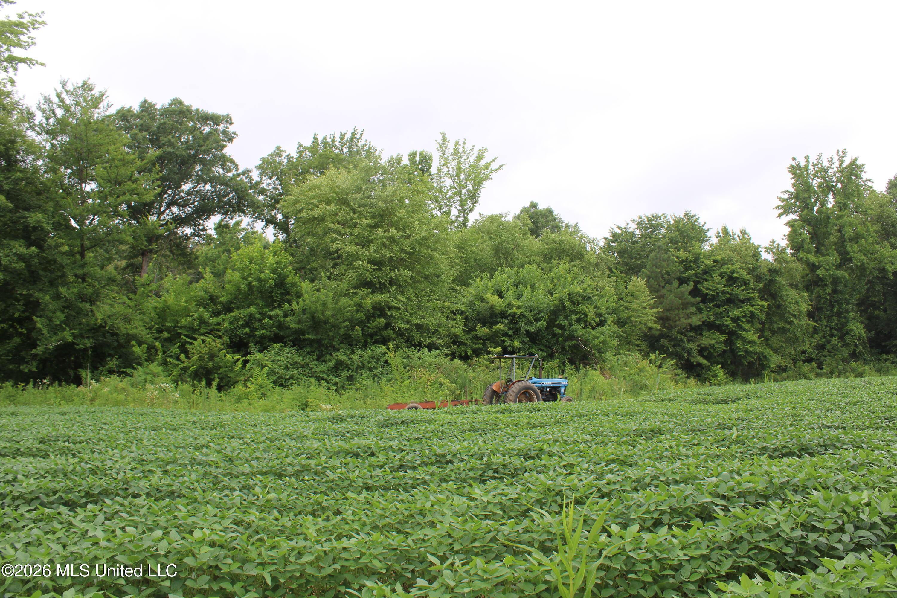 1500 Allen Corner Road Lamar, MS 38642 - Photo 13 of 17 IMG_7981