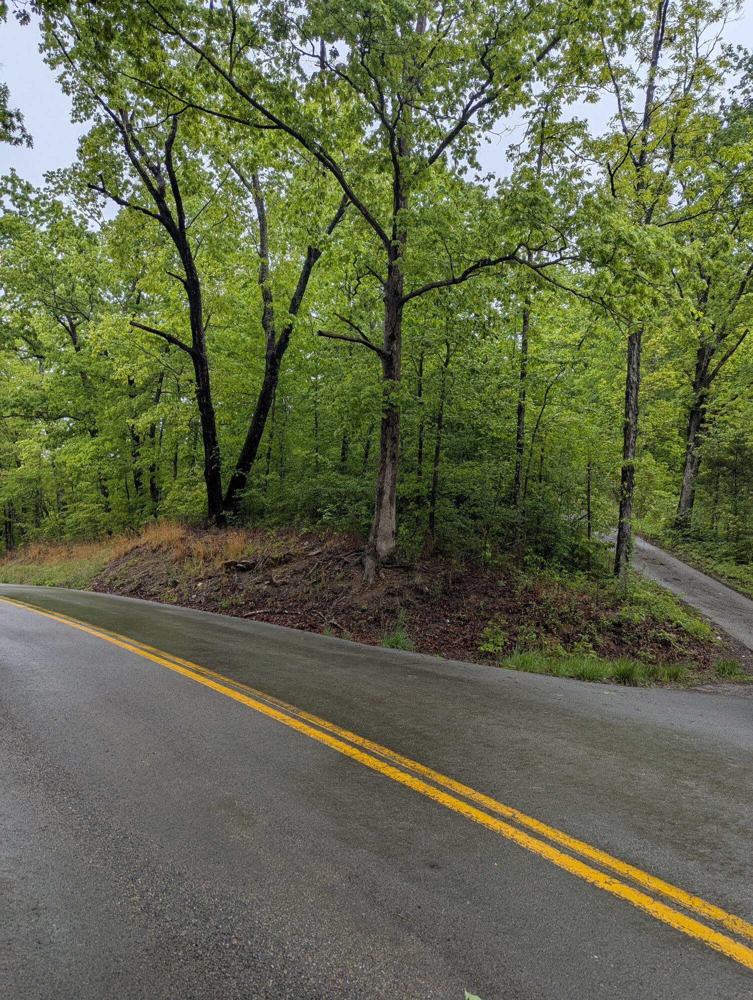 10970 McWhorter Road London, KY 40741 - Photo 3 of 34 1000001064