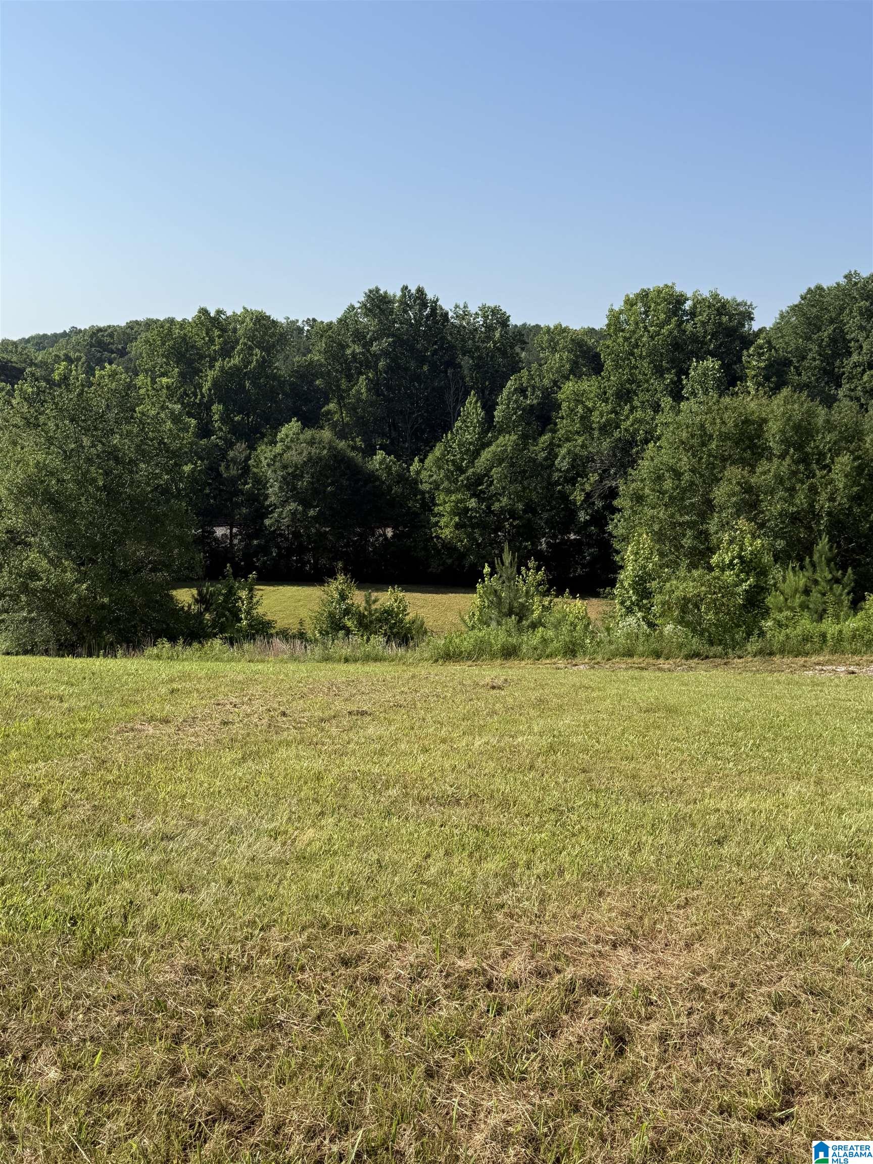 0 County Road 450 Fruithurst, AL 36262 - Photo 5 of 13