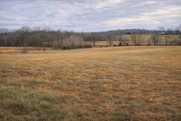 a view of a field with trees in the background