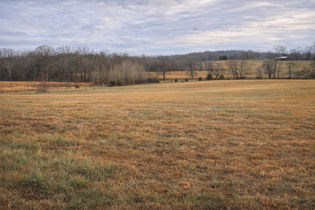 a view of a field with trees in the background