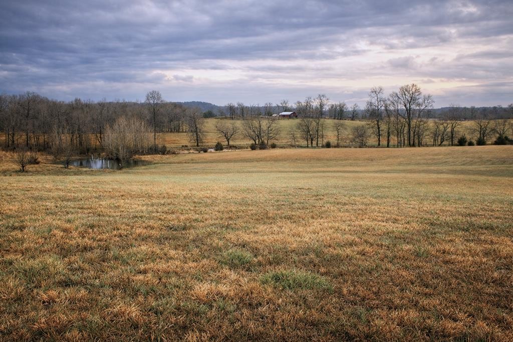 0 Old Kentucky Road Walling, TN 38587 - Photo 3 of 6