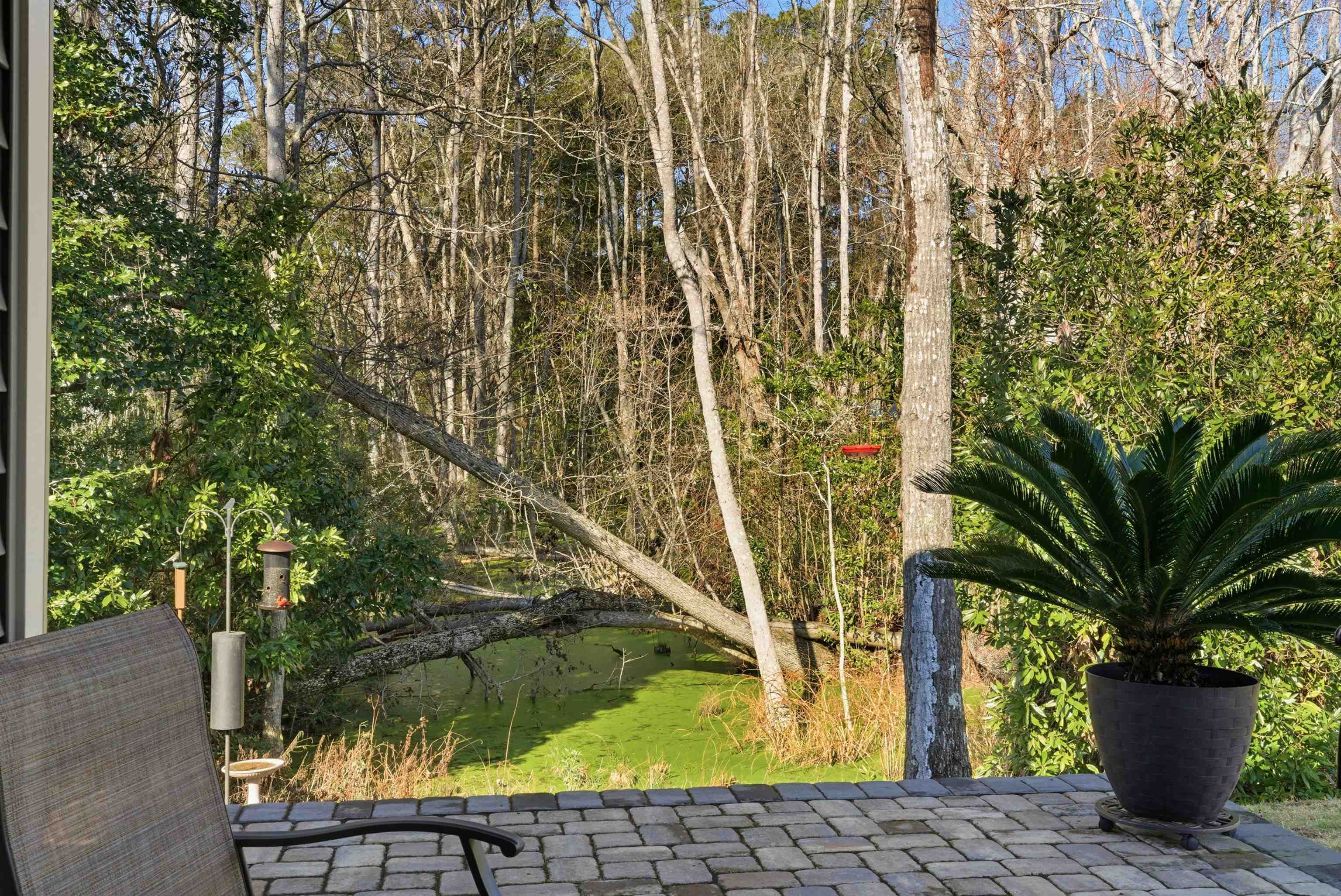 1136 Inlet View Drive North Myrtle Beach, SC 29582 - Photo 35 of 48