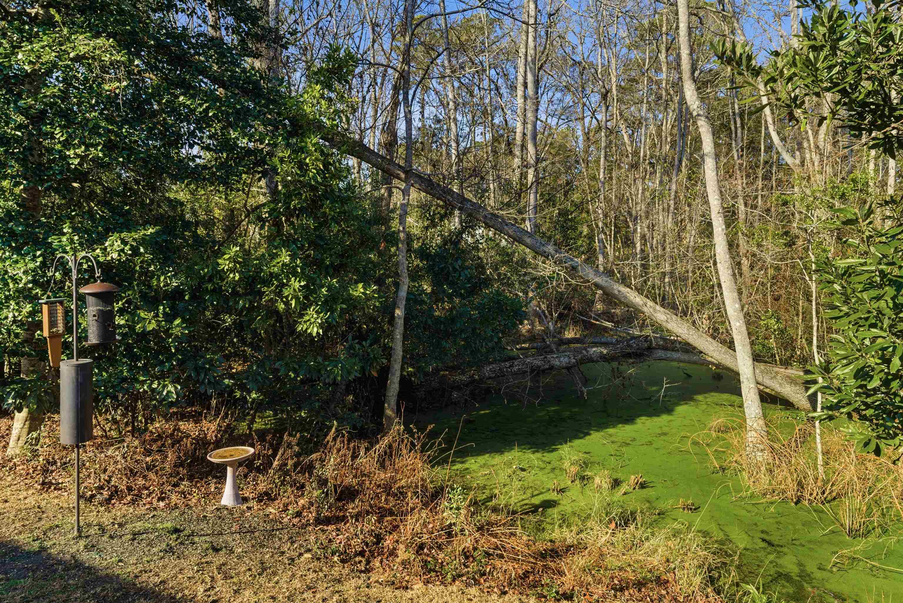 1136 Inlet View Drive North Myrtle Beach, SC 29582 - Photo 36 of 48