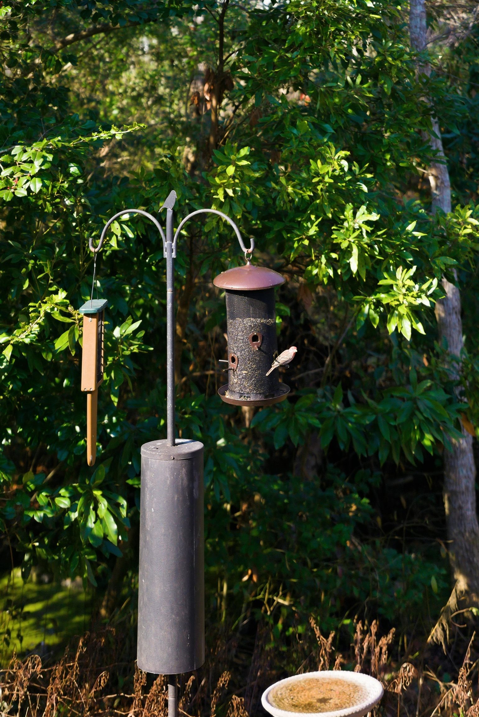 1136 Inlet View Drive North Myrtle Beach, SC 29582 - Photo 37 of 48