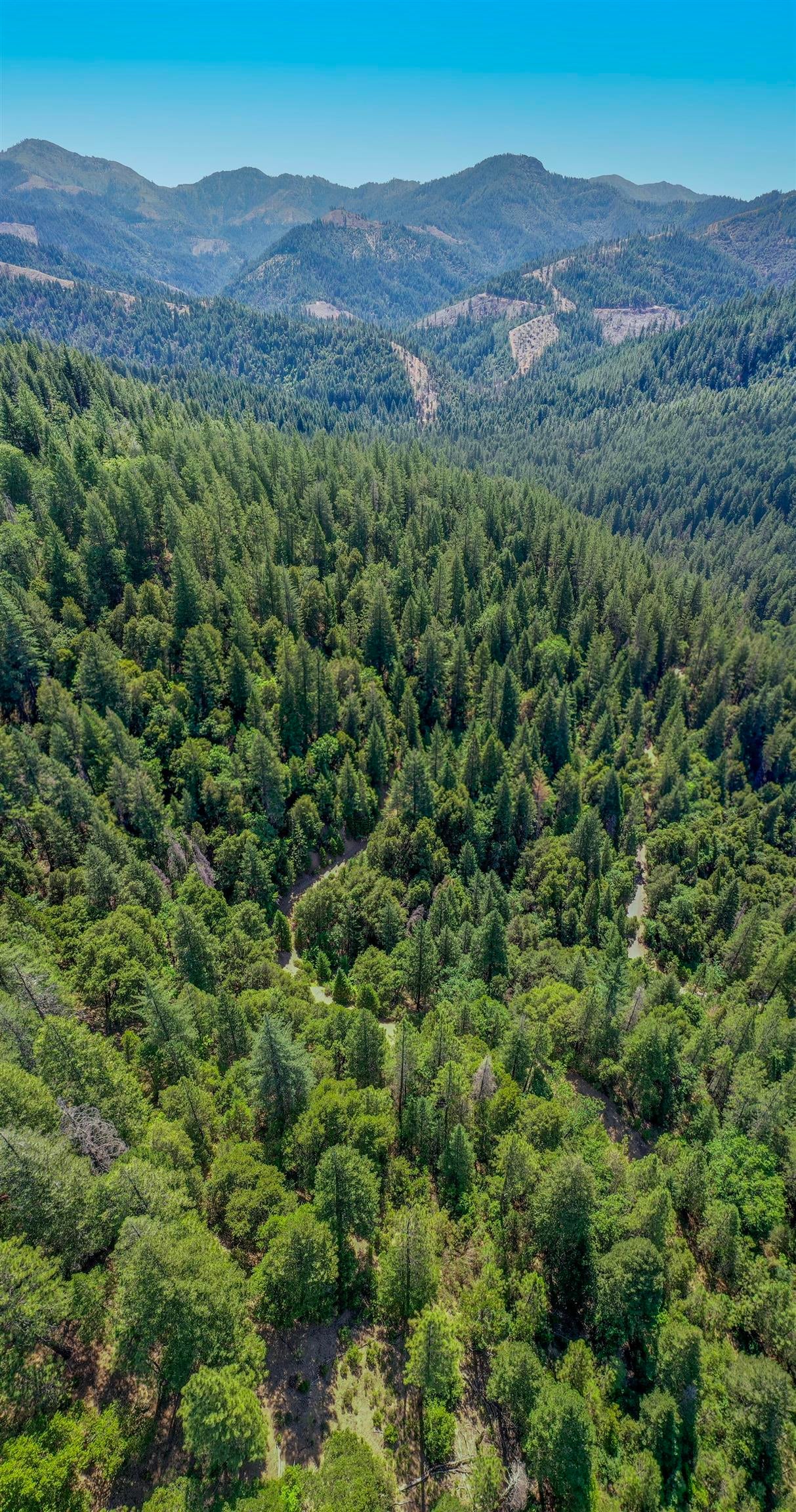 Girard Ridge Castella, CA 96017 - Photo 12 of 13 Gallery Image 12