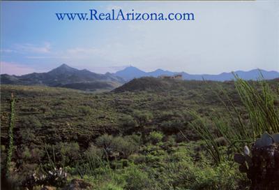 121 Tejano Spring Road Rio Rico, AZ 85648 - Photo 1 of 4