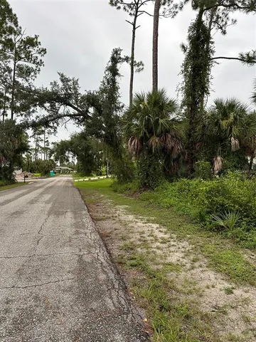a view of a yard with plants and trees