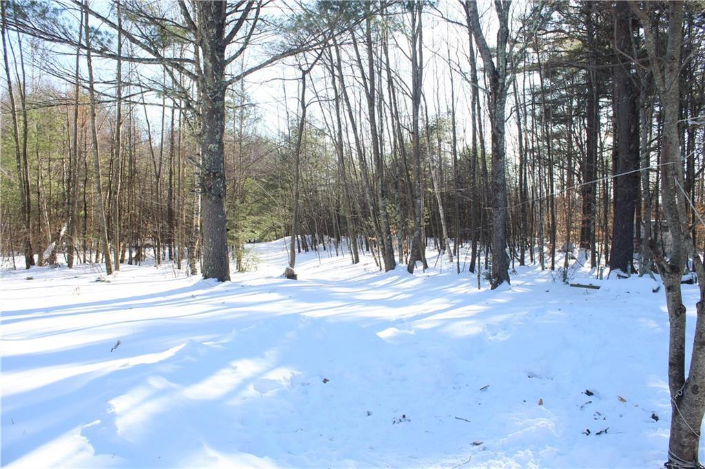 272 Shapleigh Road Lebanon, ME 04027 - Photo 24 of 27 Wonderful big wooded yard