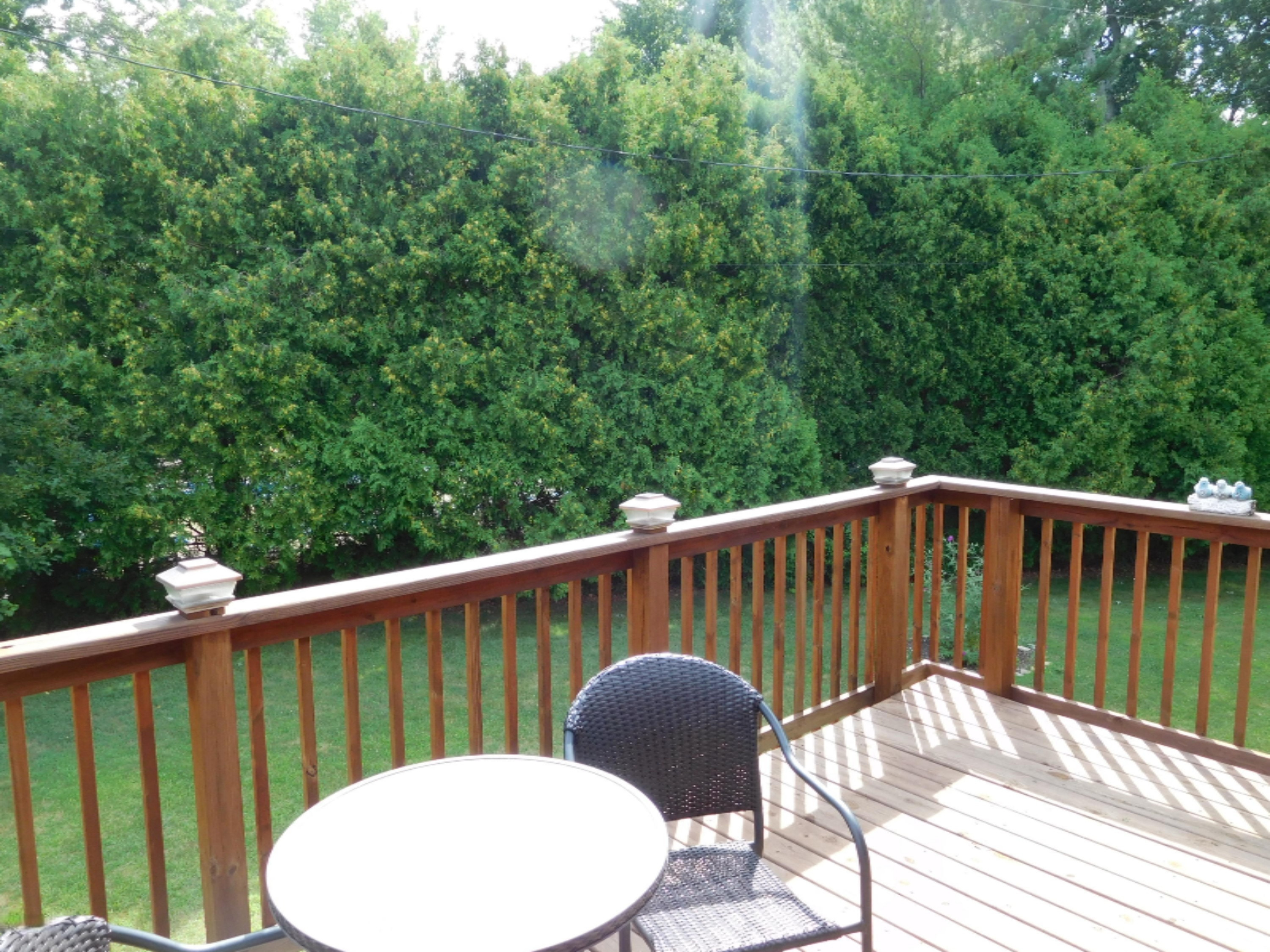 3401 Niles Road St. Joseph, MI 49085 - Photo 13 of 33 DSCN2494
